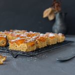 Low carb Blechkuchen mit Marillen