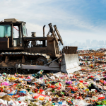 Müllvermeidung in der Küche | 10 no-waste Tipps