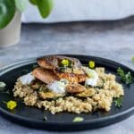 Gebratener Saibling mit Zucchini & Zitronenschaum auf Quinoa