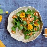 Wildkräuter Salat mit Paprika Nuss Sauce
