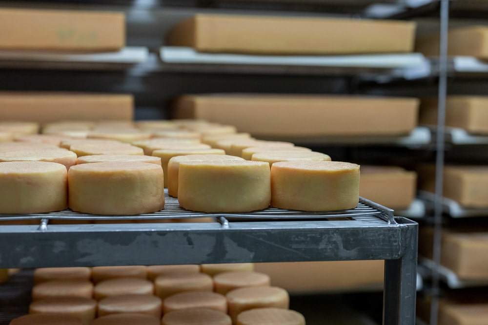 BIO aus Österreich – Von der Milch zum Käse