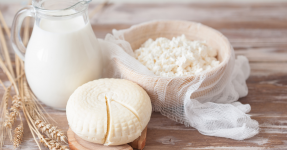 BIO aus Österreich – Von der Milch zum Käse