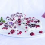 Zuckerfreie Frozen Joghurt Riegel mit Beeren | Froyo Bites