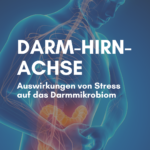 Darm Hirn Achse