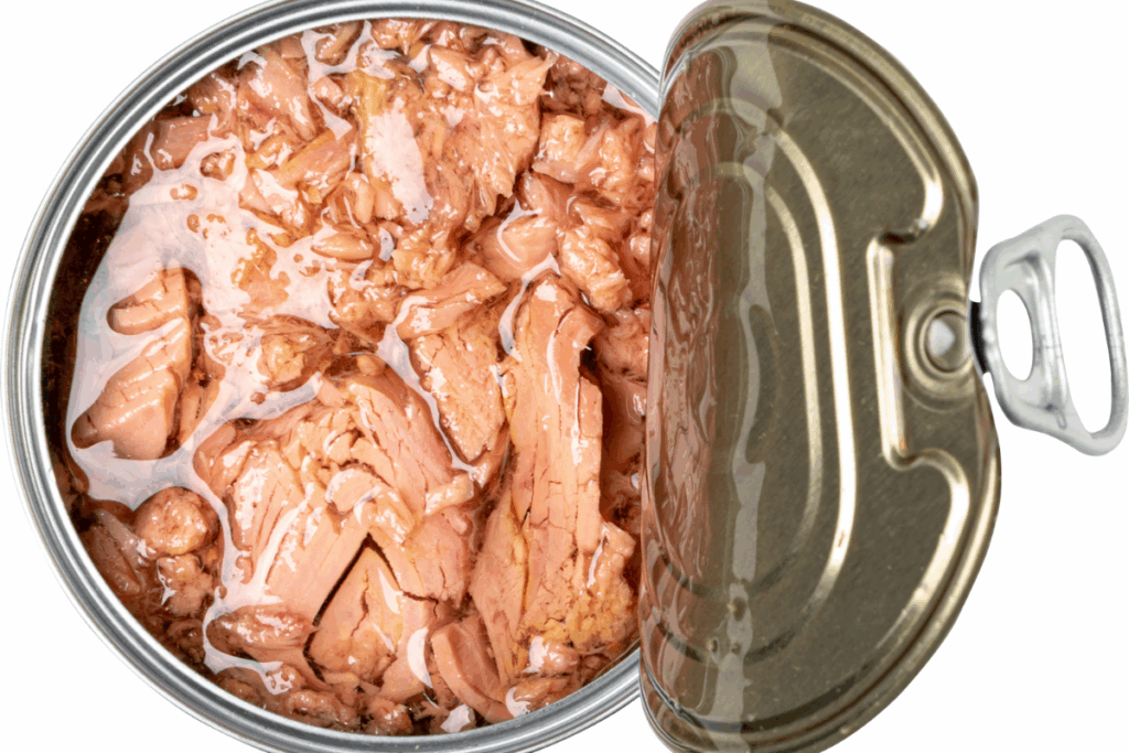 Thunfisch