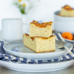 Low carb Blechkuchen mit Marillen 6-25 (MÄSER Lunaria)