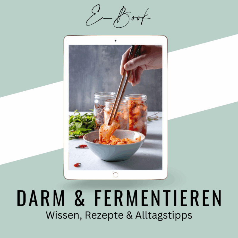E-book Shop Titelbild Darm & Fermentieren