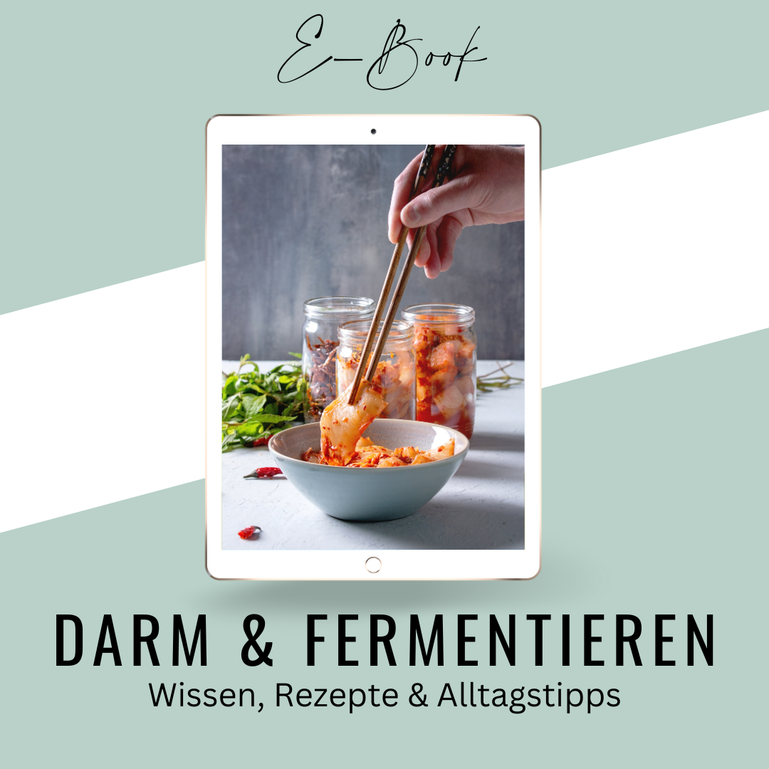 E-book Shop Titelbild Darm & Fermentieren